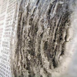"Desaparecidos", por Sara Slipchinsky